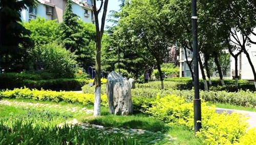 image003.jpg