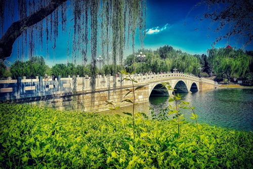 总工办高健--闲作步上断桥头，到眼无穷胜景收_副本.jpg