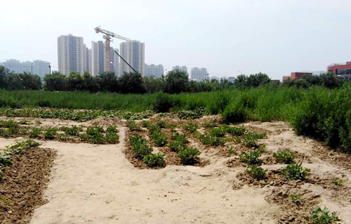 经海九路.jpg